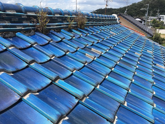 雑草は雨水が浸入しているサイン